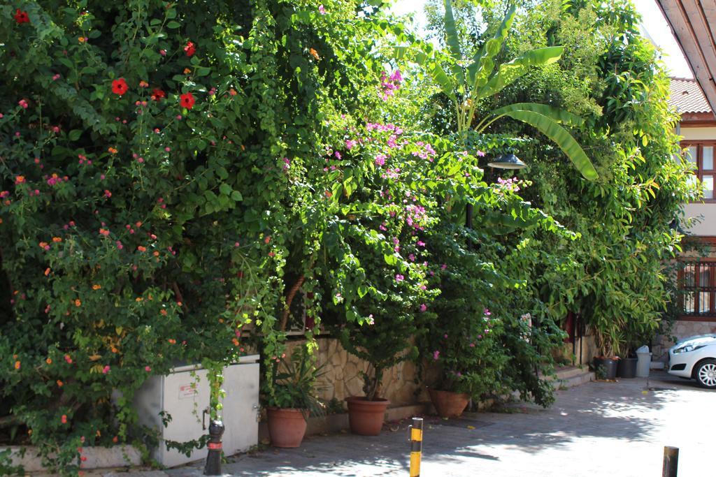 Lazer Pension Antalya Luaran gambar