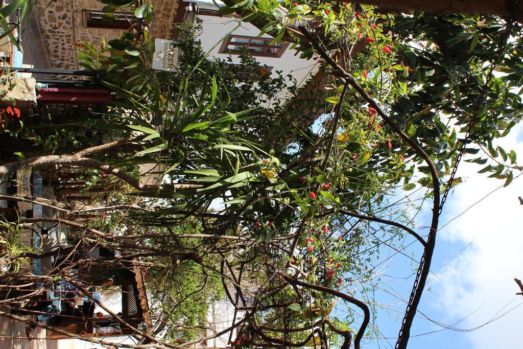 Lazer Pension Antalya Luaran gambar
