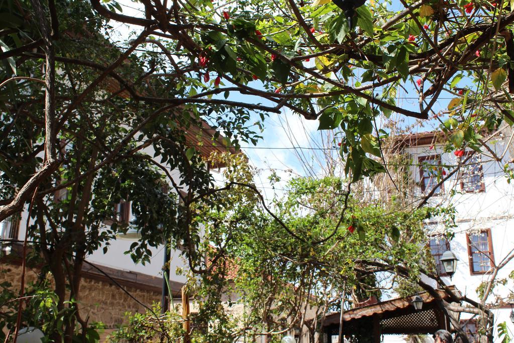 Lazer Pension Antalya Luaran gambar