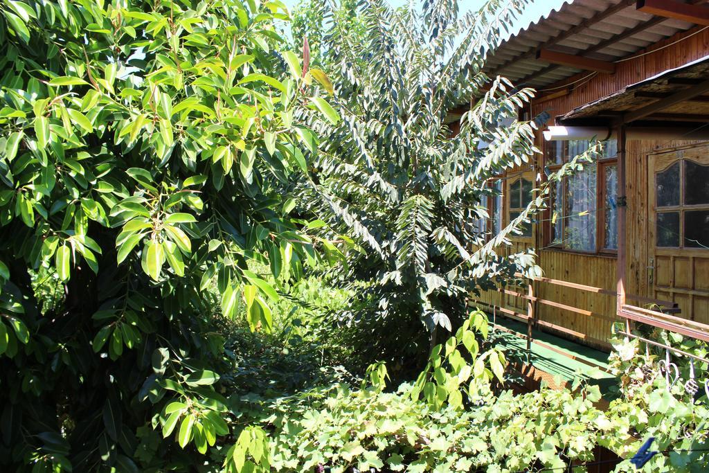 Lazer Pension Antalya Luaran gambar